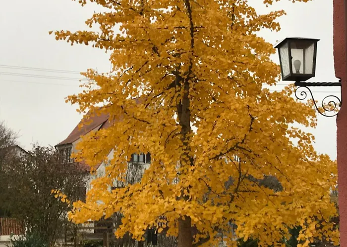 Donautaler Wohlfuehloase Gundelfingen